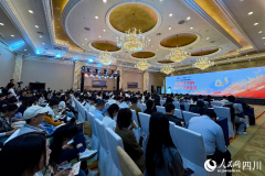未经书面授权禁用“以创意为核
